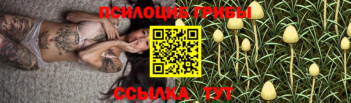 Галлюциногенные грибы MAGIC MUSHROOMS Аргун